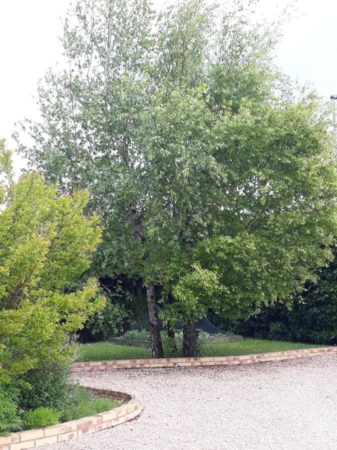 Therouanne En Berry Plaimpied-Givaudins Exterior foto